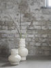 Bild på MIMOSA Vas creme b20 h35cm Papier-Maché ej för vatten