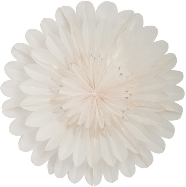 Bild på LOTUS Julstjärna 60 white