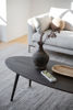 Bild på TOMPKINS soffbord ellips 150x60 brun ek