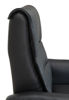 Bild på CAESAR PLUS Reclinerfåtölj 2 motor LiftUp Large läder Soleda/skai 441 svart m värme